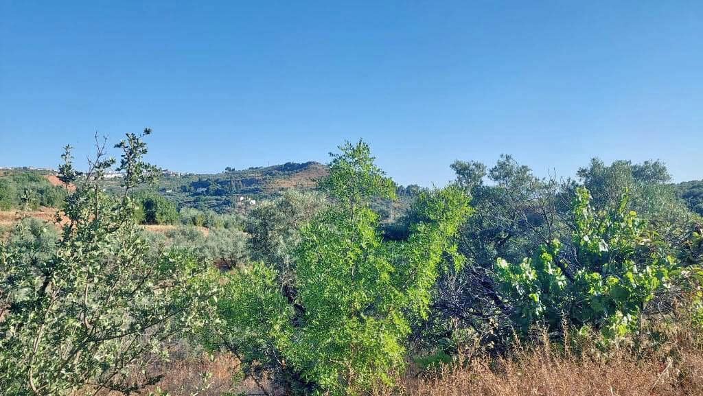 8 slaapkamer Finca/Landhuis te koop in Cogollos Vega - € 70.000 (Ref: 9434975)