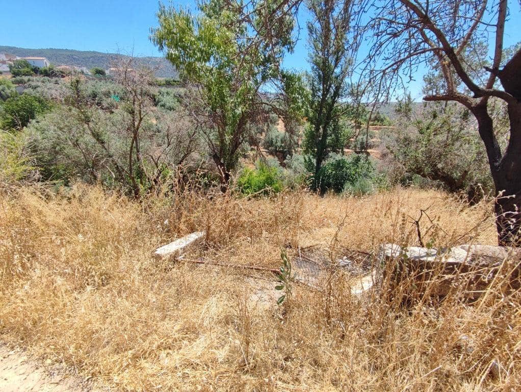 8 slaapkamer Finca/Landhuis te koop in Cogollos Vega - € 70.000 (Ref: 9434975)