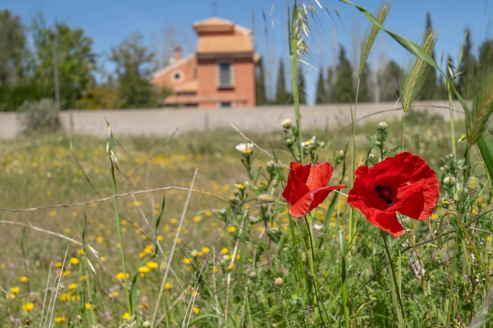 Building Plot for sale in Otura - € 135,000 (Ref: 9434976)