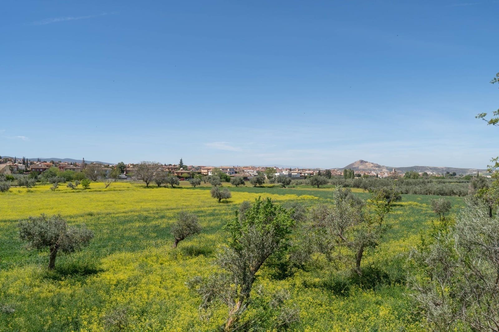 Building Plot for sale in Otura - € 135,000 (Ref: 9434976)