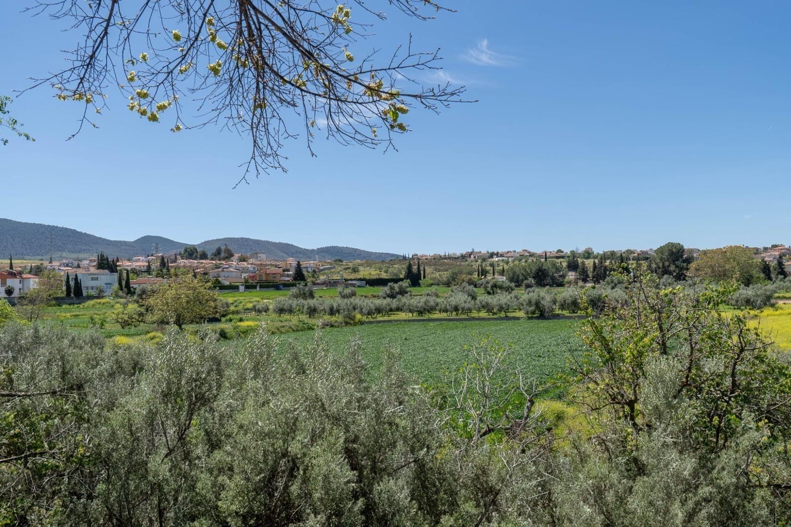 Building Plot for sale in Otura - € 135,000 (Ref: 9434976)