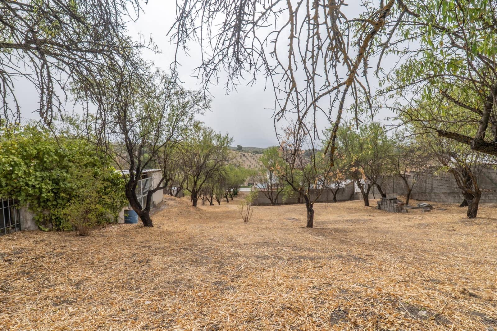 4 chambre Villa/Maison à vendre à Grenade ville avec piscine garage - 288 000 € (Ref: 9434977)