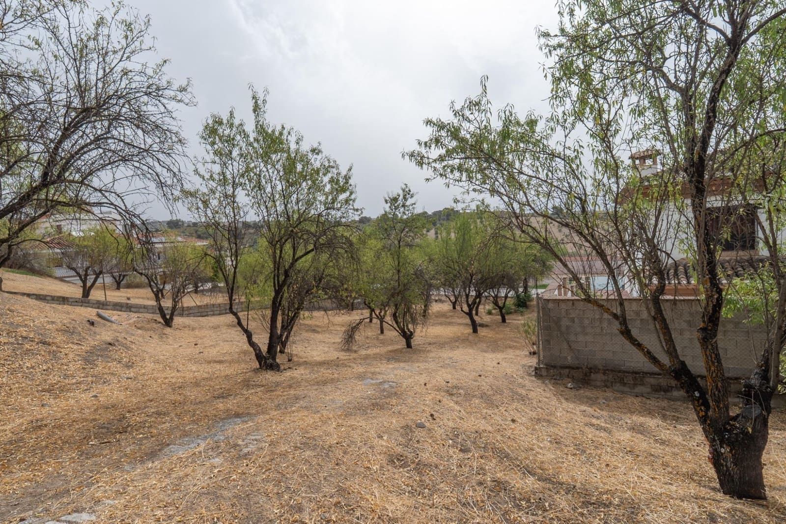 4 chambre Villa/Maison à vendre à Grenade ville avec piscine garage - 288 000 € (Ref: 9434977)