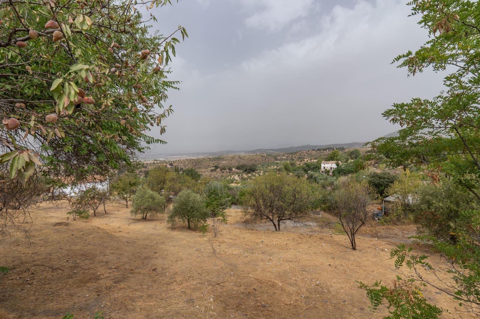 4 chambre Villa/Maison à vendre à Grenade ville avec piscine garage - 288 000 € (Ref: 9434977)