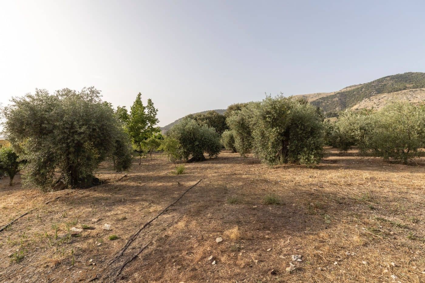 6 soveværelse Finca/Landehus til salg i Alfacar med swimmingpool garage - € 790.000 (Ref: 9436190)