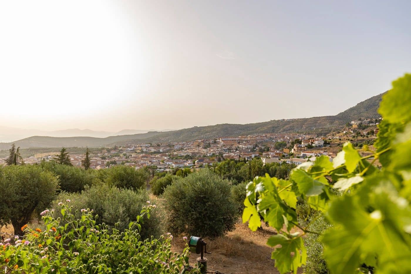 6 soveværelse Finca/Landehus til salg i Alfacar med swimmingpool garage - € 790.000 (Ref: 9436190)