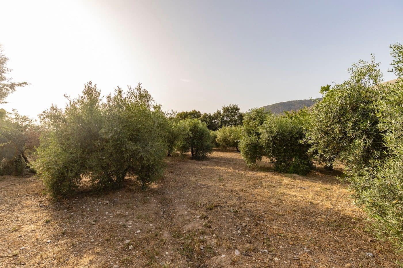 6 soveværelse Finca/Landehus til salg i Alfacar med swimmingpool garage - € 790.000 (Ref: 9436190)