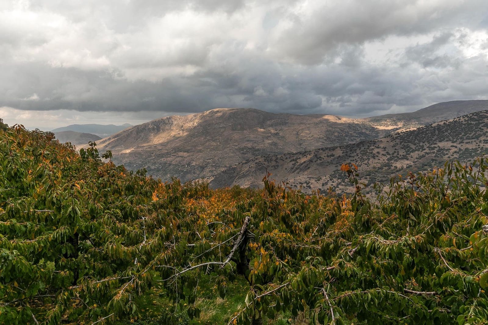 Grunde uden byggetilladelser til salg i Guejar Sierra - € 199.900 (Ref: 9437761)