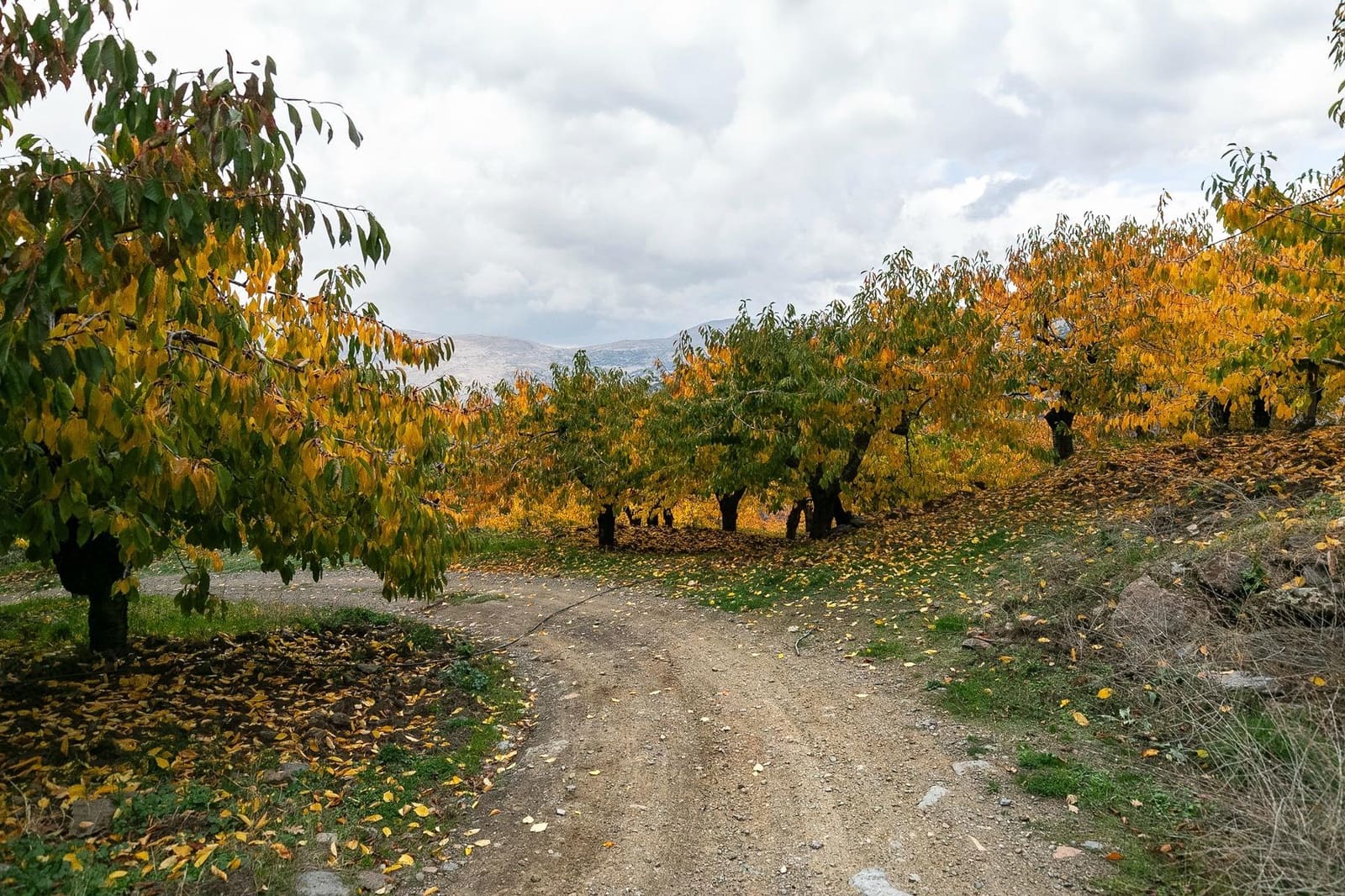 Grunde uden byggetilladelser til salg i Guejar Sierra - € 199.900 (Ref: 9437761)