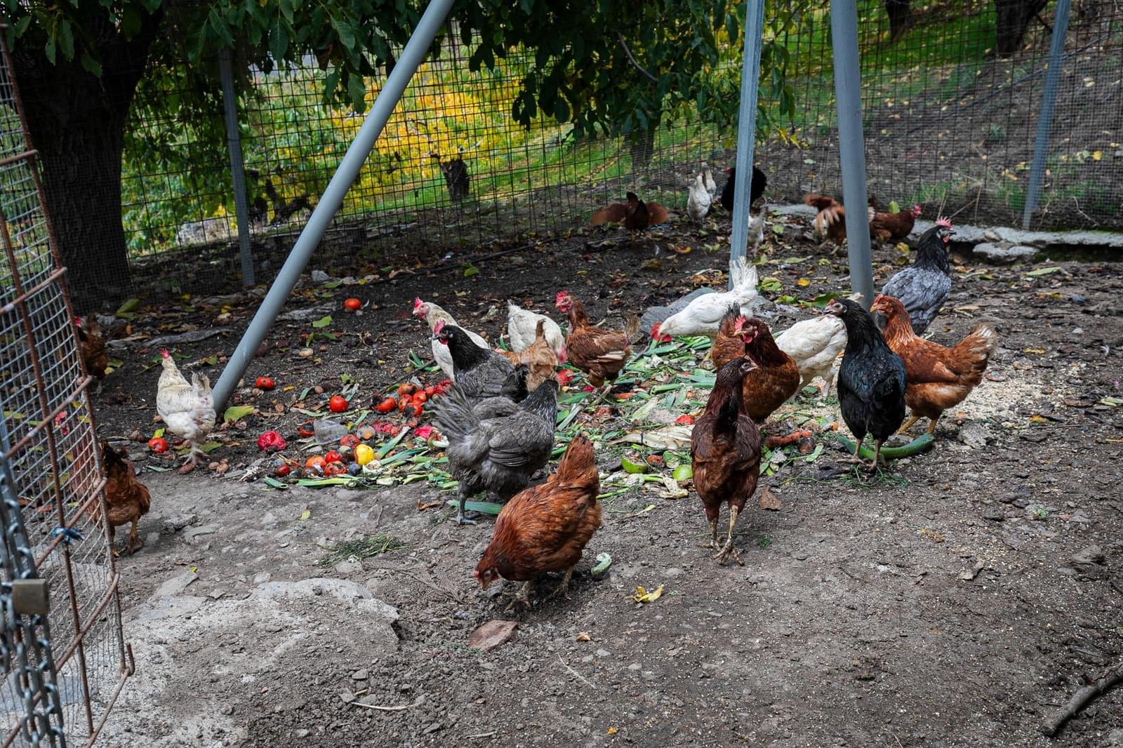 Grunde uden byggetilladelser til salg i Guejar Sierra - € 199.900 (Ref: 9437761)