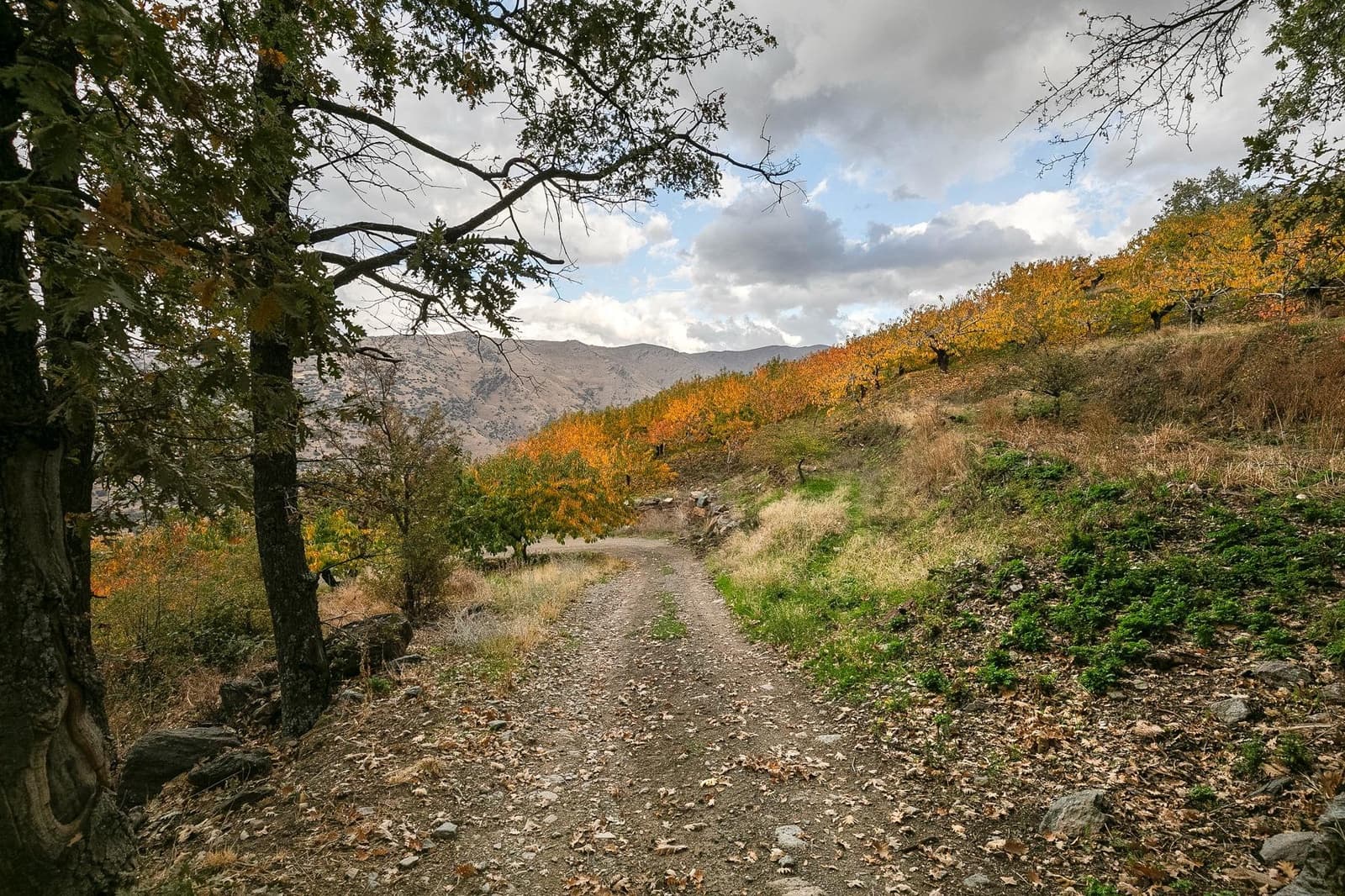 Grunde uden byggetilladelser til salg i Guejar Sierra - € 199.900 (Ref: 9437761)