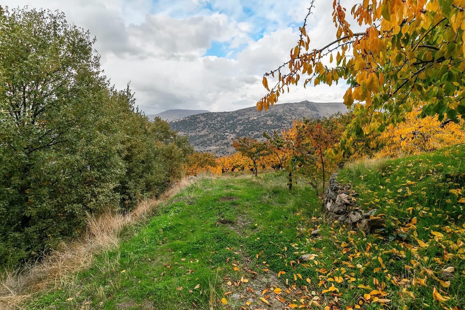 Grunde uden byggetilladelser til salg i Guejar Sierra - € 199.900 (Ref: 9437761)