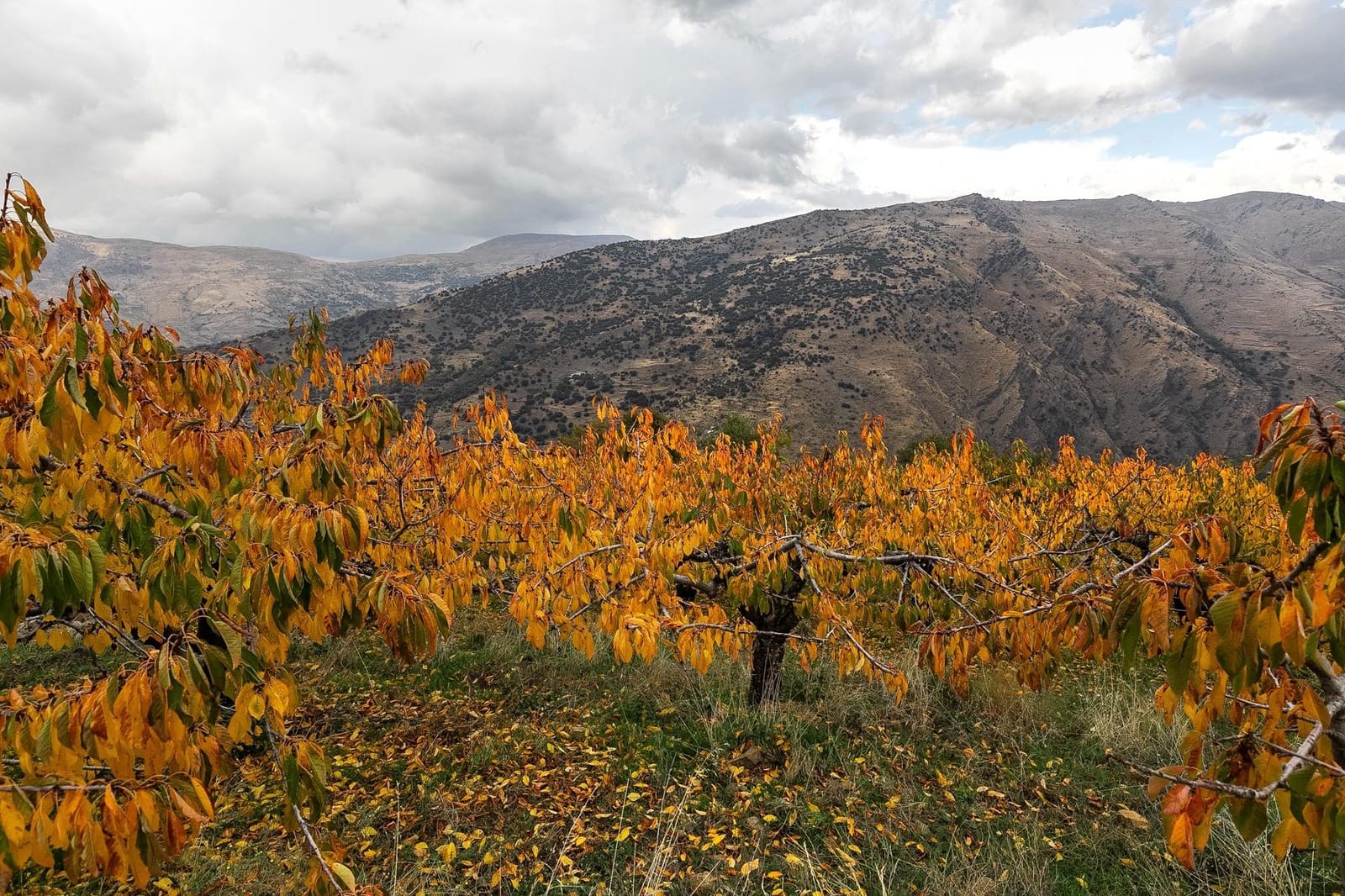 Grunde uden byggetilladelser til salg i Guejar Sierra - € 199.900 (Ref: 9437761)