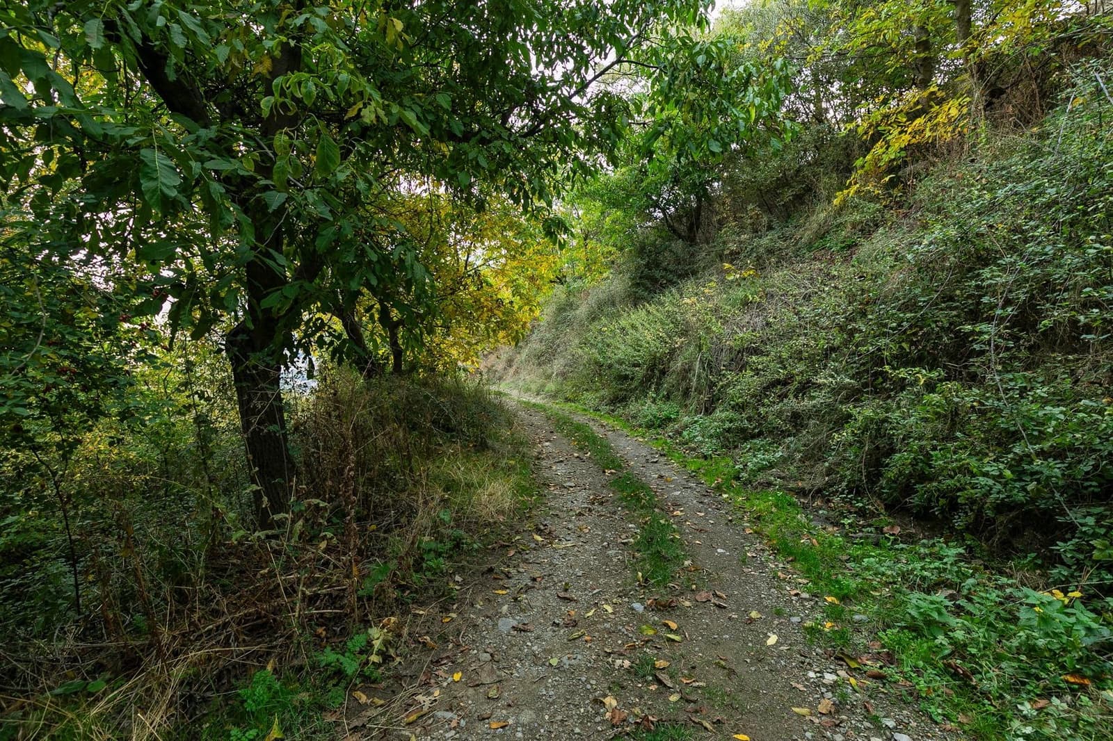 Grunde uden byggetilladelser til salg i Guejar Sierra - € 199.900 (Ref: 9437761)