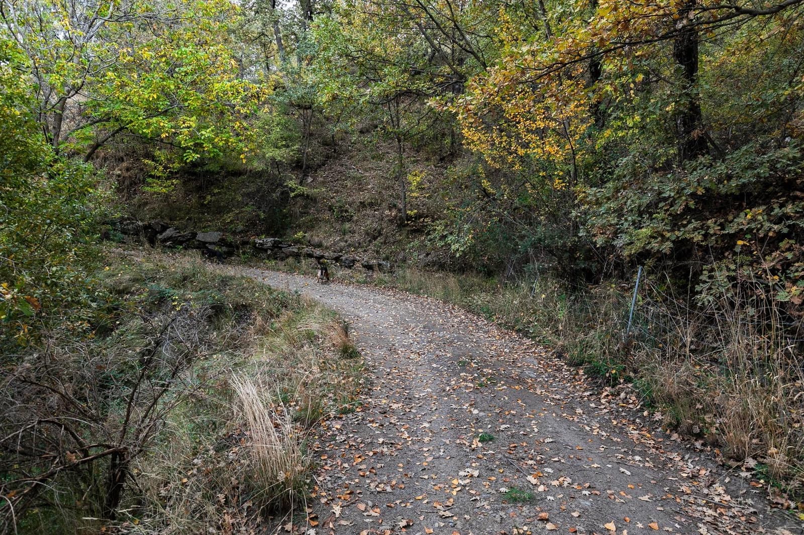 Grunde uden byggetilladelser til salg i Guejar Sierra - € 199.900 (Ref: 9437761)