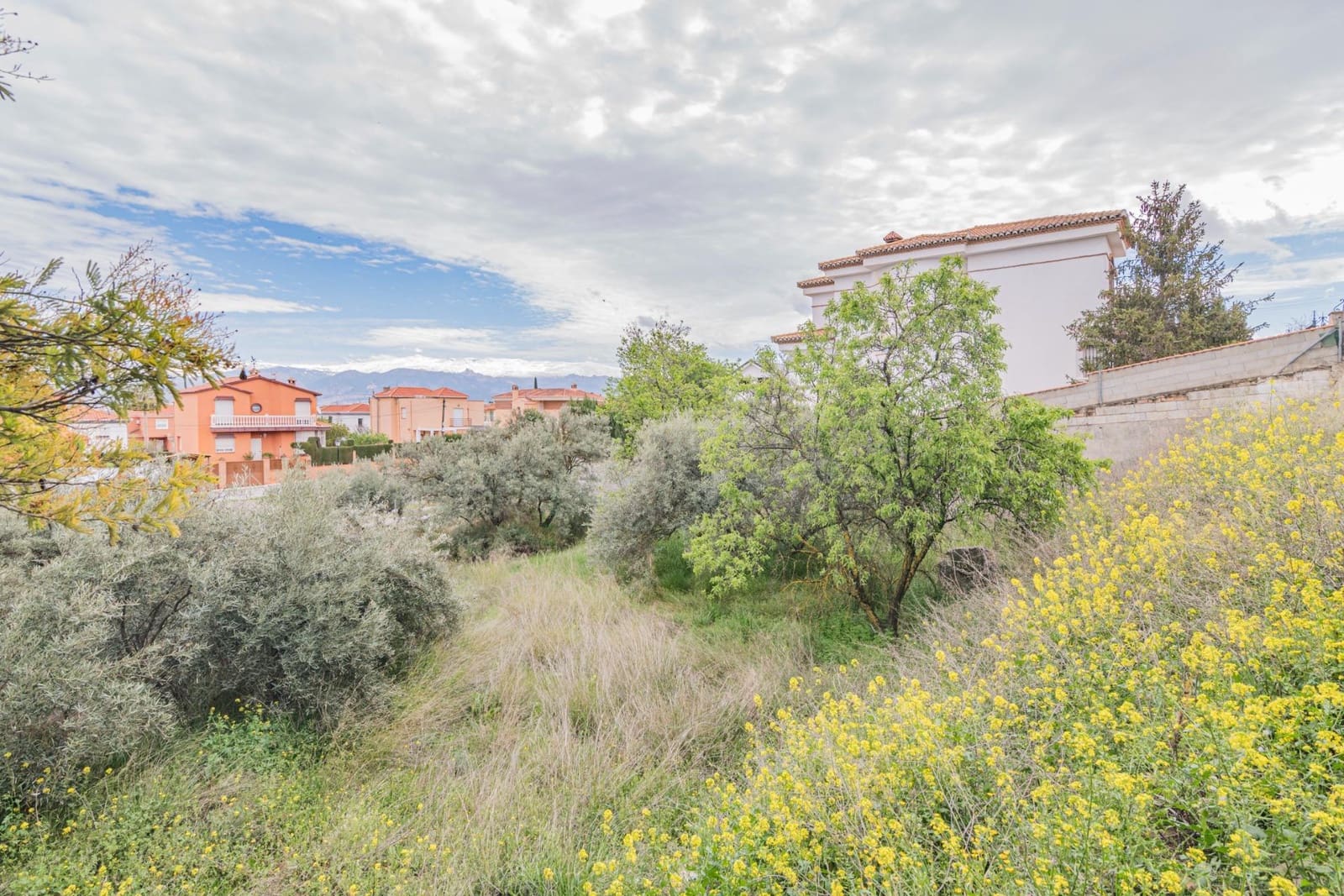 Tontti myytävänä paikassa Cullar Vega - 110 000 € (Ref: 9437778)