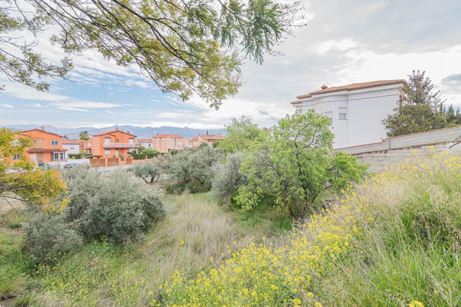 Tontti myytävänä paikassa Cullar Vega - 110 000 € (Ref: 9437778)
