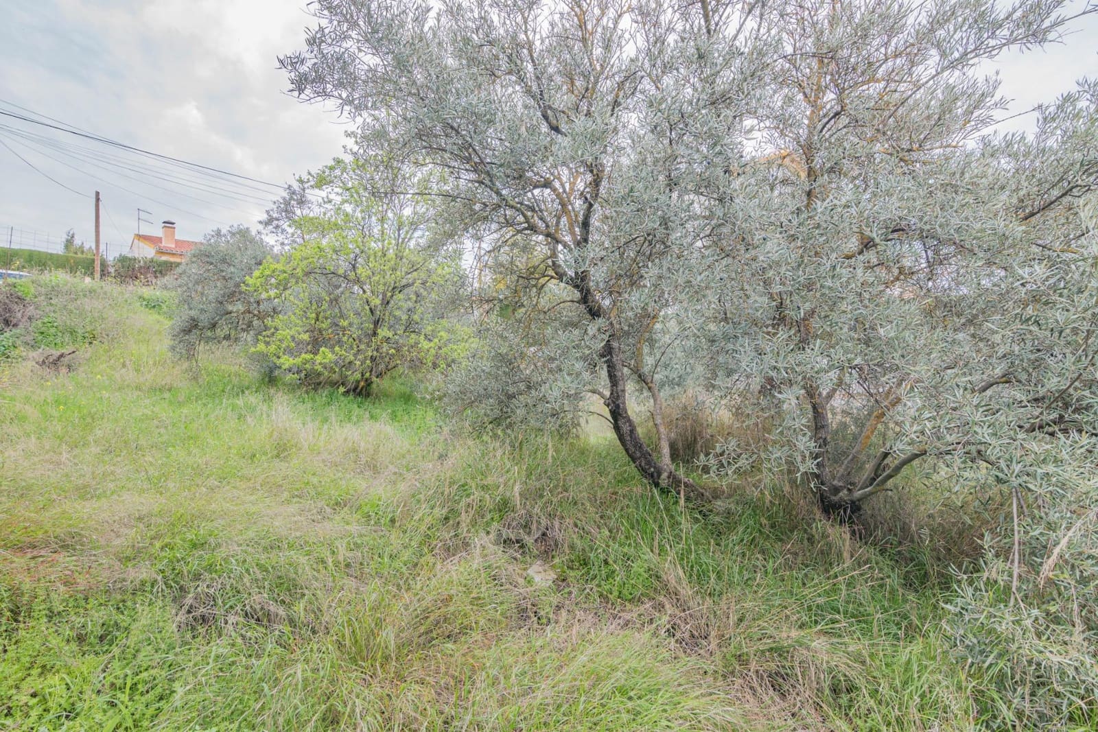 Tontti myytävänä paikassa Cullar Vega - 110 000 € (Ref: 9437778)