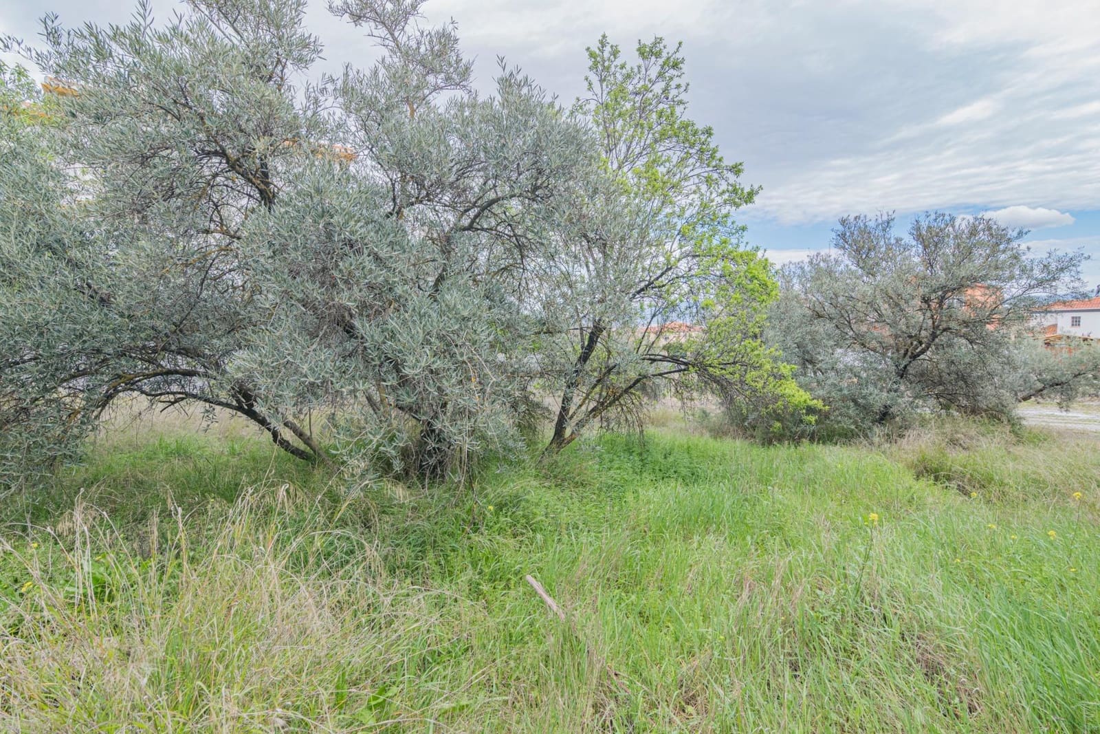 Tontti myytävänä paikassa Cullar Vega - 110 000 € (Ref: 9437778)