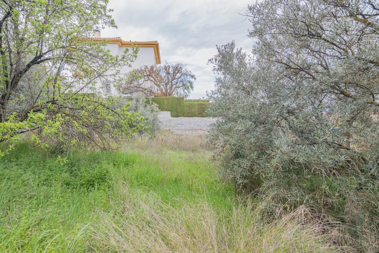 Tontti myytävänä paikassa Cullar Vega - 110 000 € (Ref: 9437778)