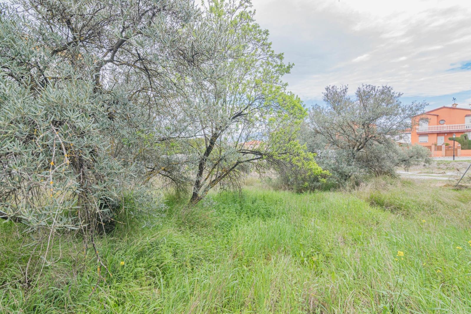 Tontti myytävänä paikassa Cullar Vega - 110 000 € (Ref: 9437778)