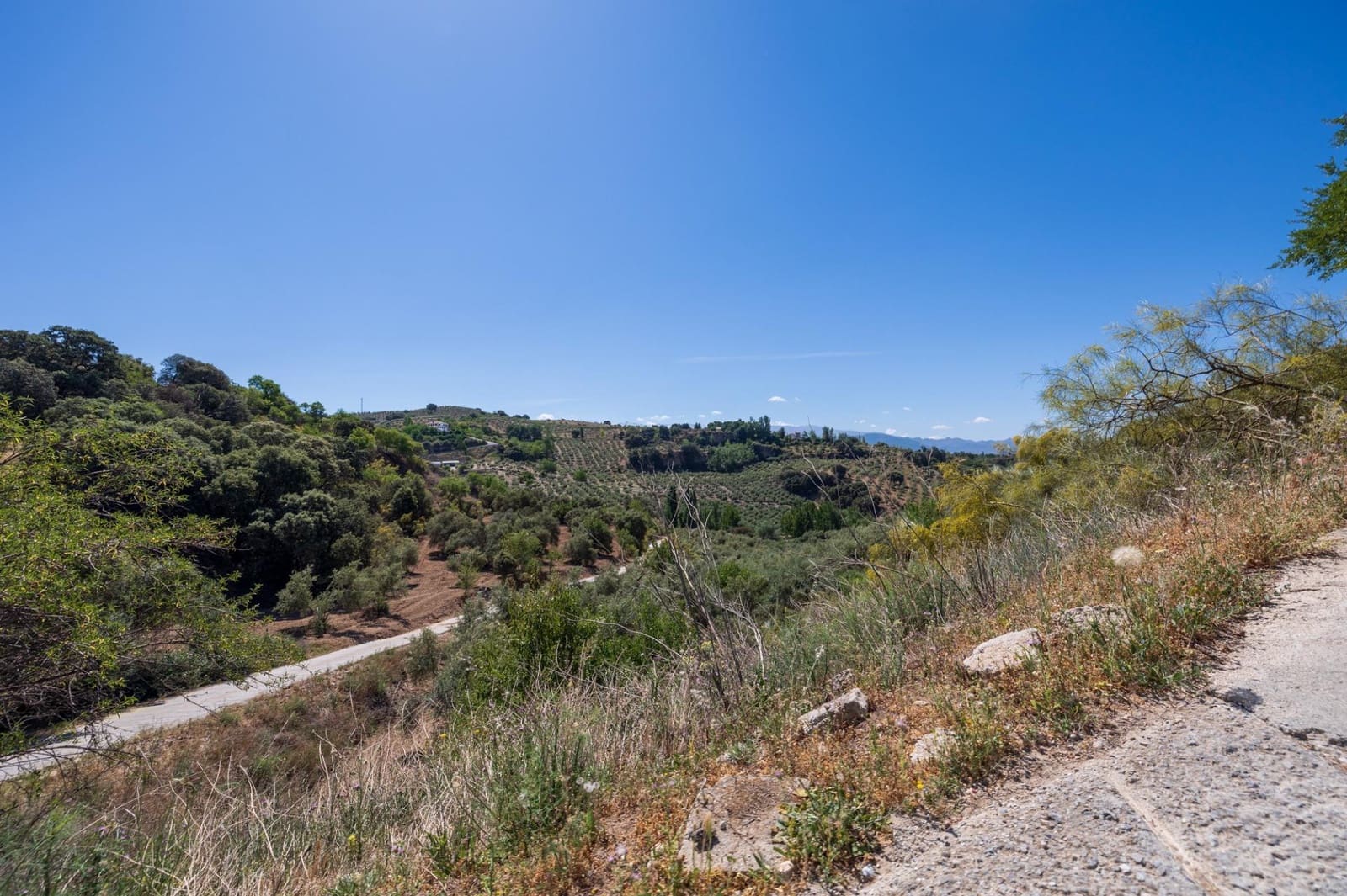 Terre non Aménagée à vendre à Viznar - 47 000 € (Ref: 9443219)