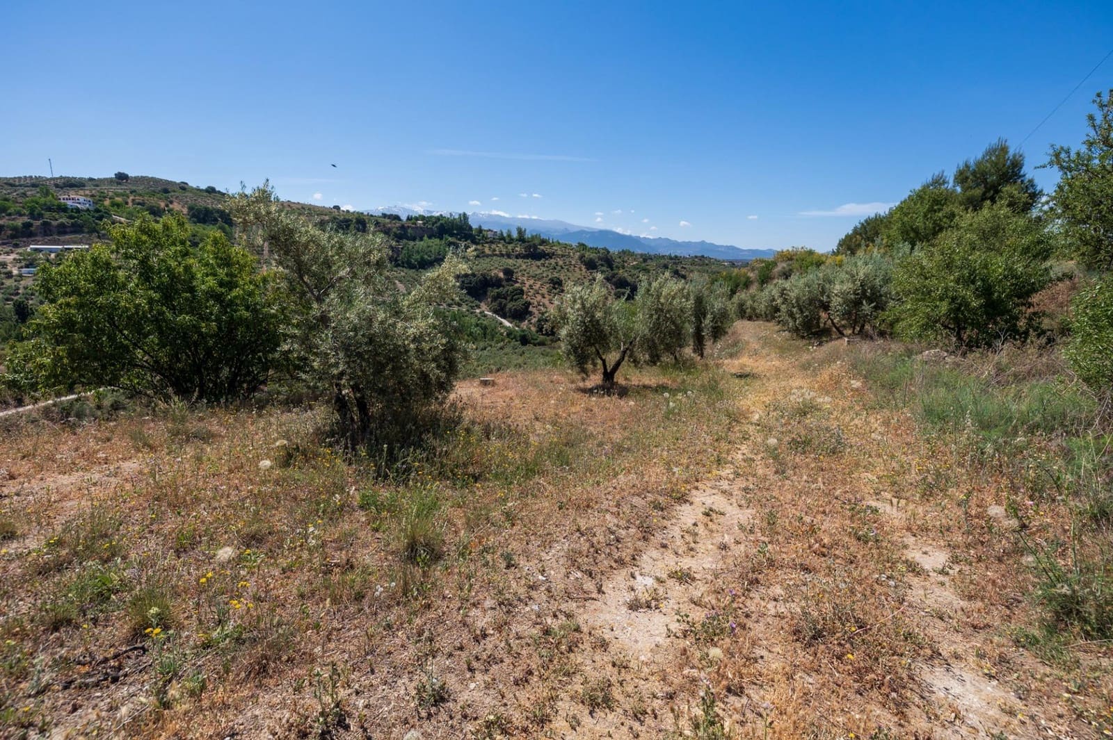 Terre non Aménagée à vendre à Viznar - 47 000 € (Ref: 9443219)