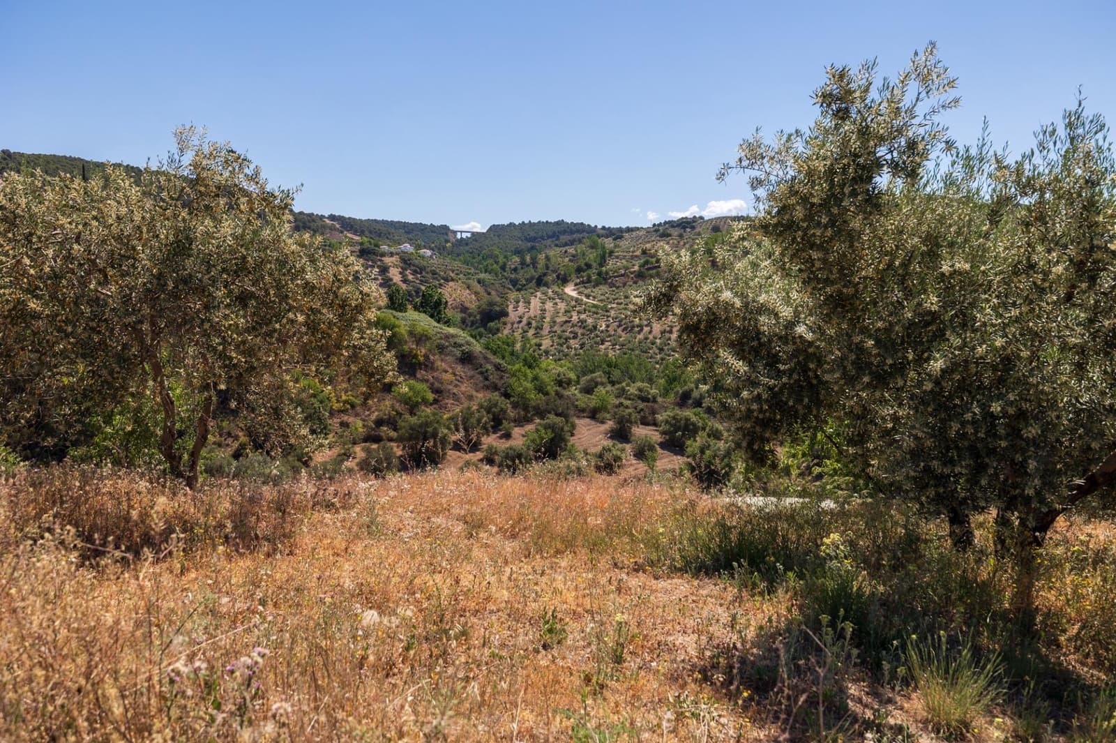 Terre non Aménagée à vendre à Viznar - 47 000 € (Ref: 9443219)