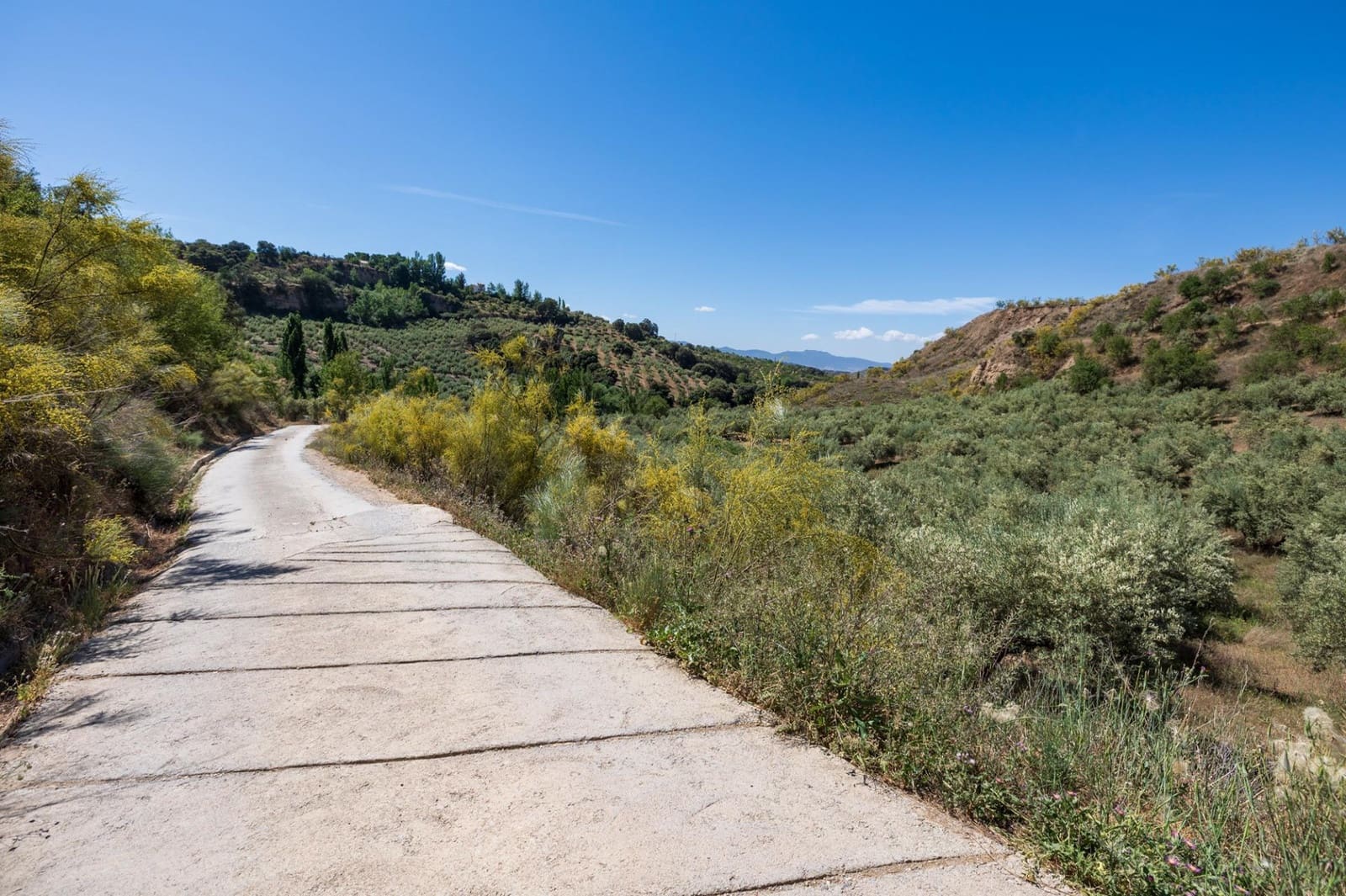 Terre non Aménagée à vendre à Viznar - 47 000 € (Ref: 9443219)