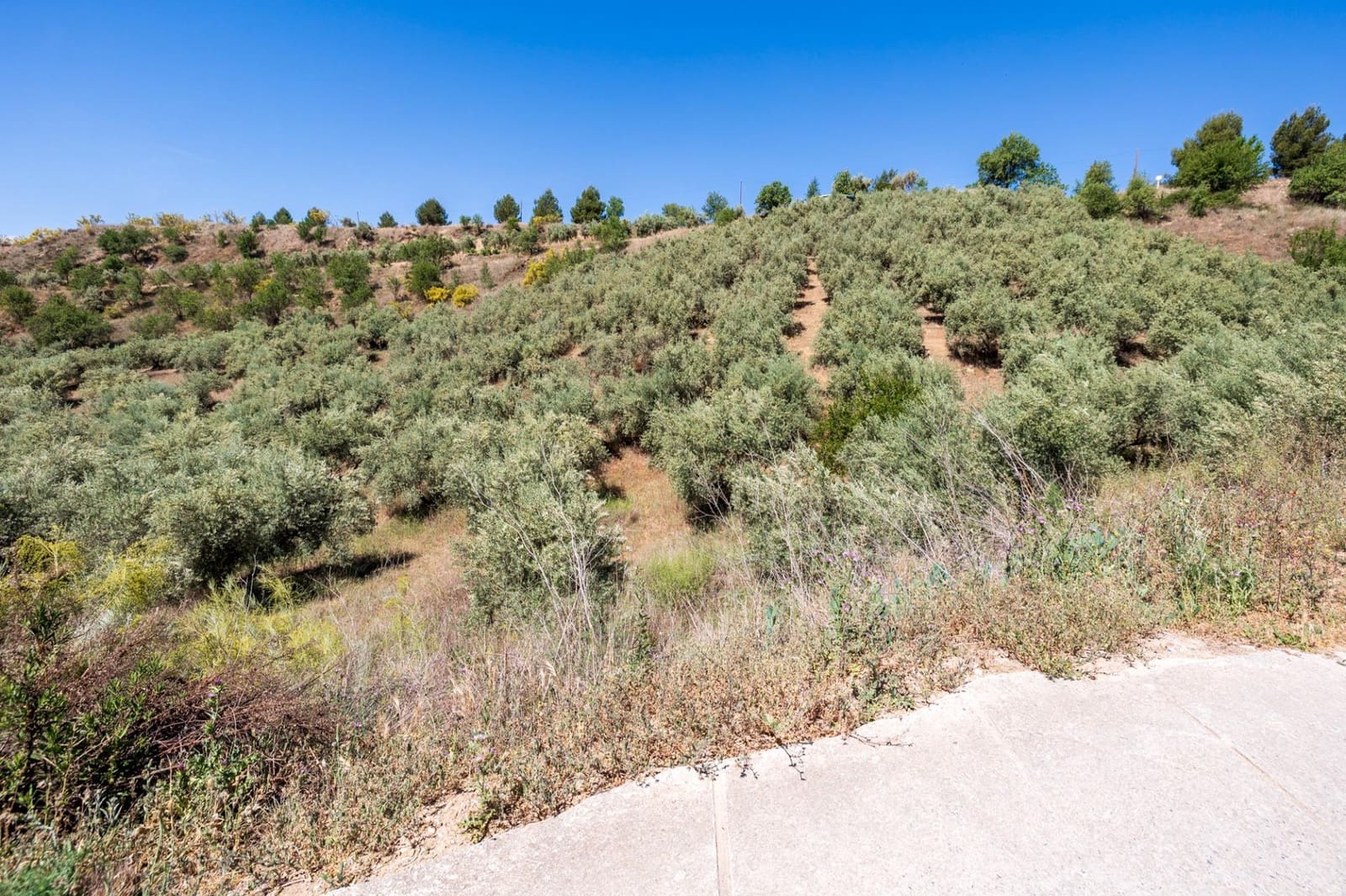 Terre non Aménagée à vendre à Viznar - 47 000 € (Ref: 9443219)