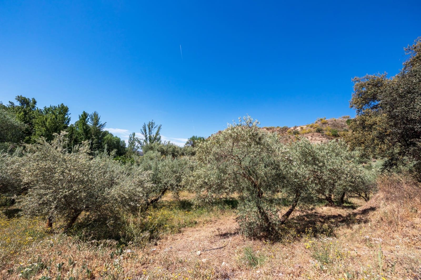 Terre non Aménagée à vendre à Viznar - 47 000 € (Ref: 9443219)