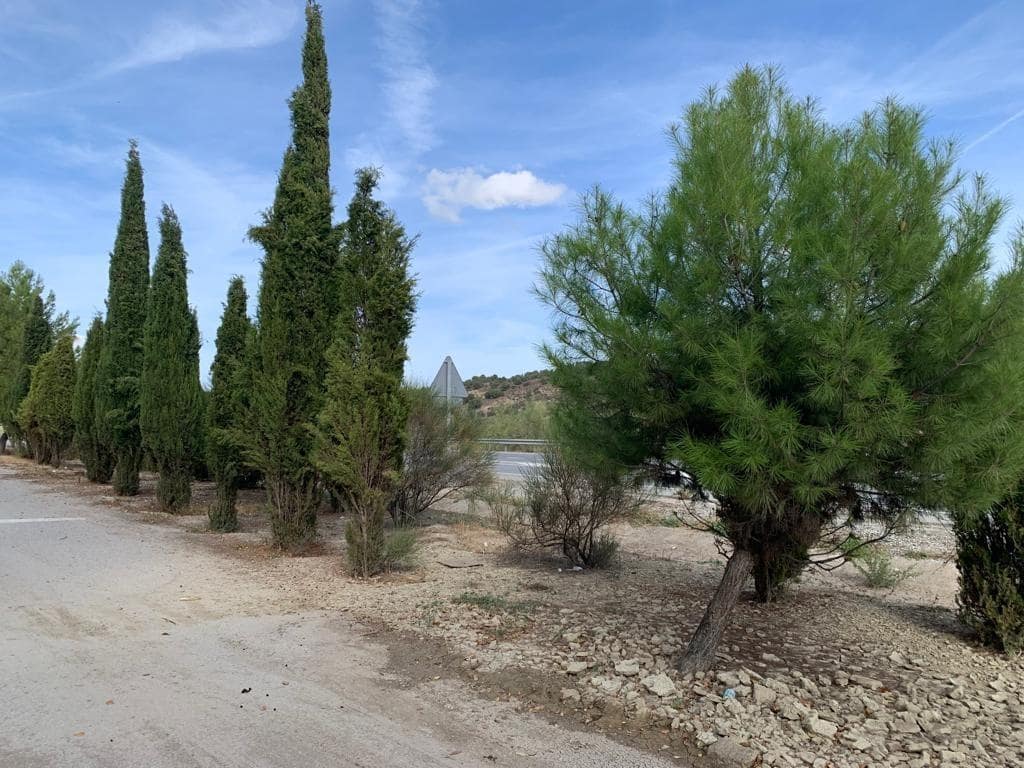 Terreno para Construção para venda em Alhama de Granada - 98 000 € (Ref: 9443222)