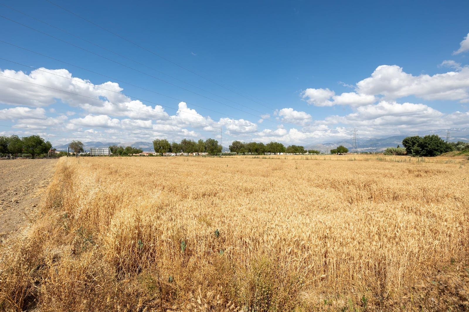 Tomt till salu i Las Gabias - 95 000 € (Ref: 9443239)