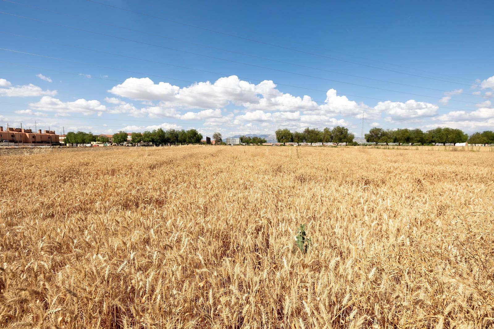 Tomt till salu i Las Gabias - 95 000 € (Ref: 9443239)