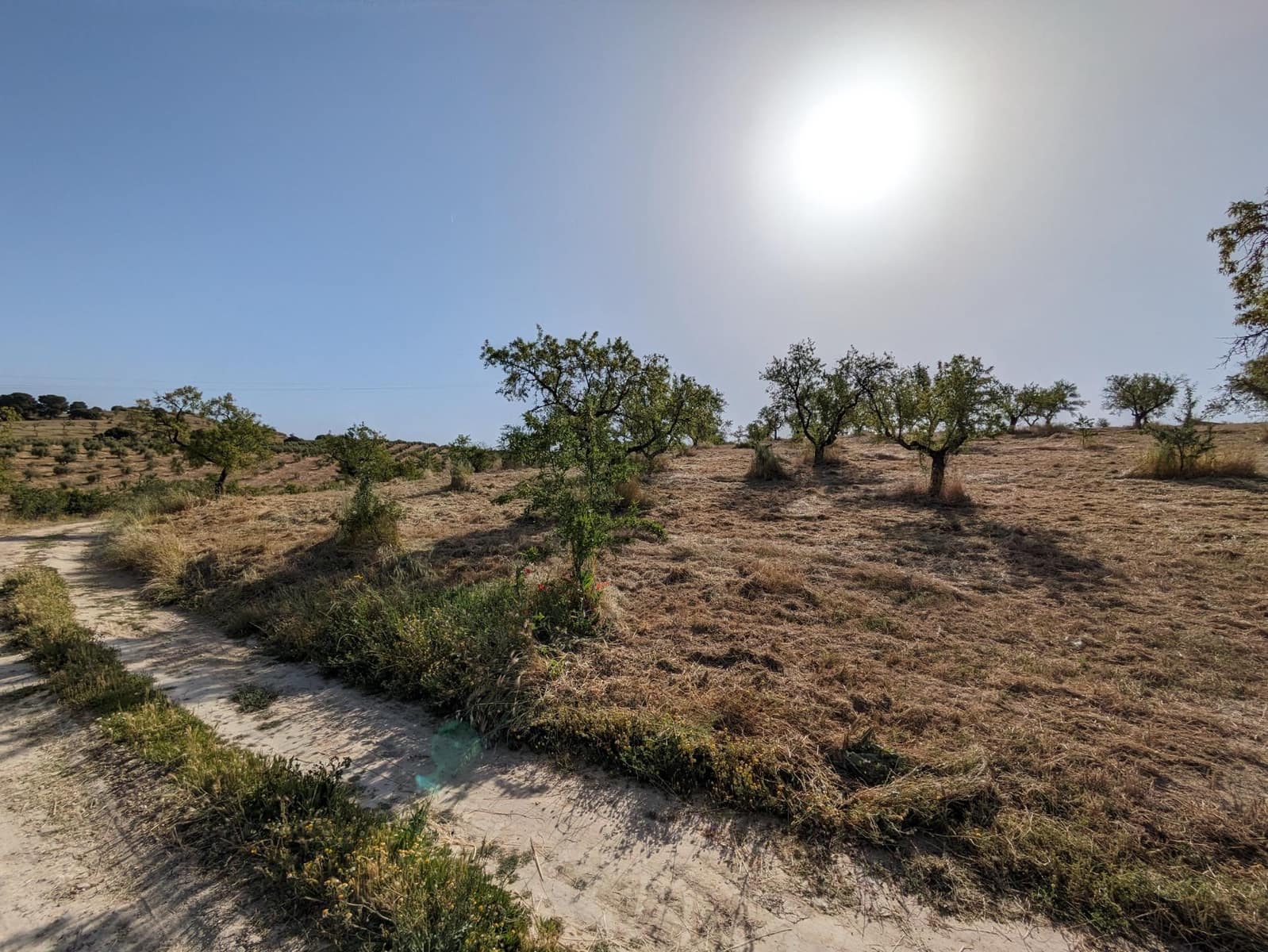 Tontti myytävänä paikassa Alhama de Granada - 190 000 € (Ref: 9443241)