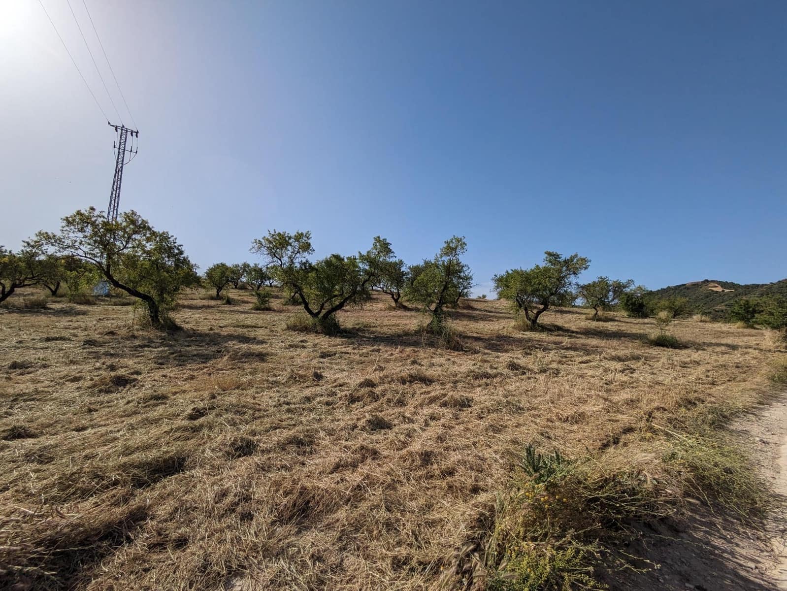 Tontti myytävänä paikassa Alhama de Granada - 190 000 € (Ref: 9443241)