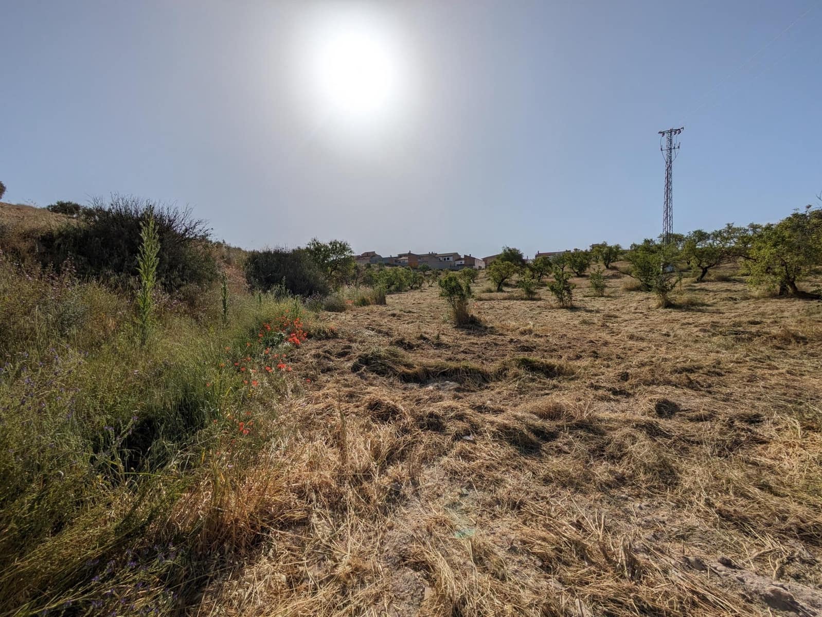 Tontti myytävänä paikassa Alhama de Granada - 190 000 € (Ref: 9443241)