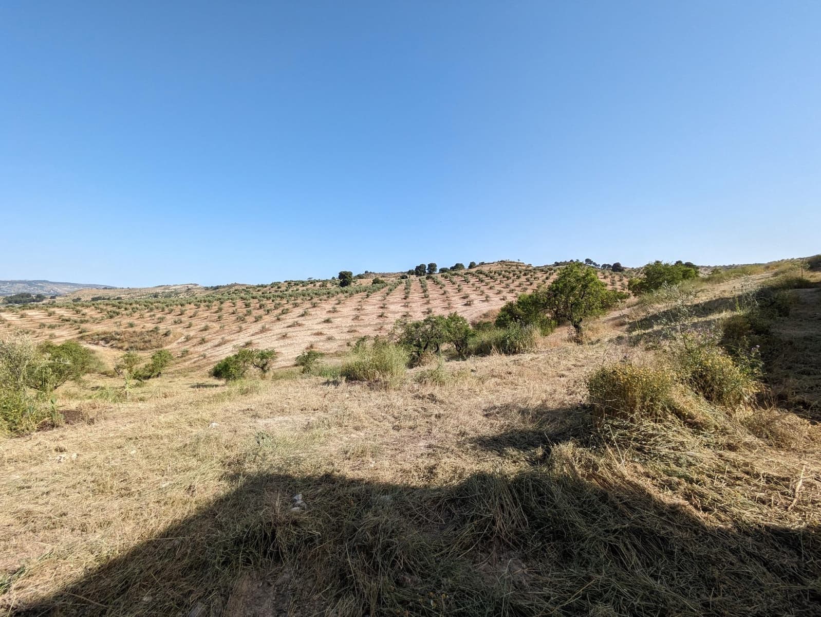 Tontti myytävänä paikassa Alhama de Granada - 190 000 € (Ref: 9443241)