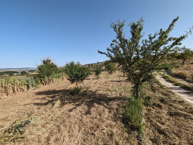Terreno para Construção para venda em Alhama de Granada - 190 000 € (Ref: 9443241)