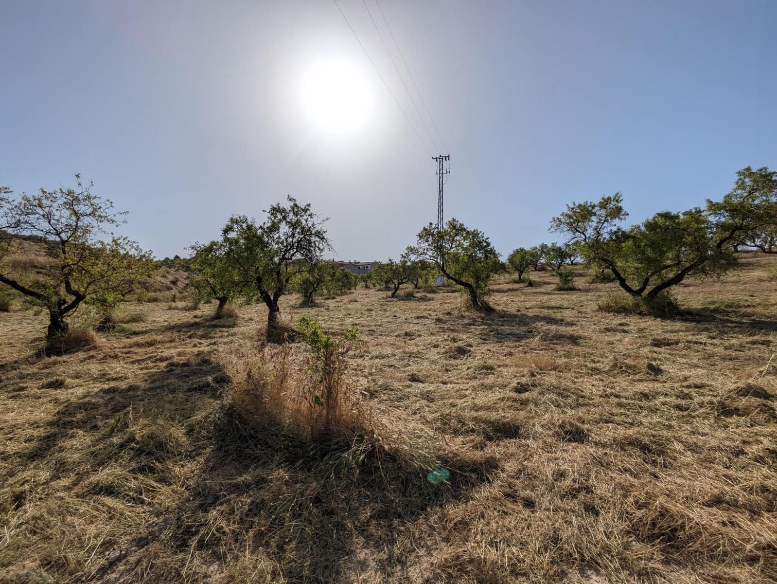 Tontti myytävänä paikassa Alhama de Granada - 190 000 € (Ref: 9443241)