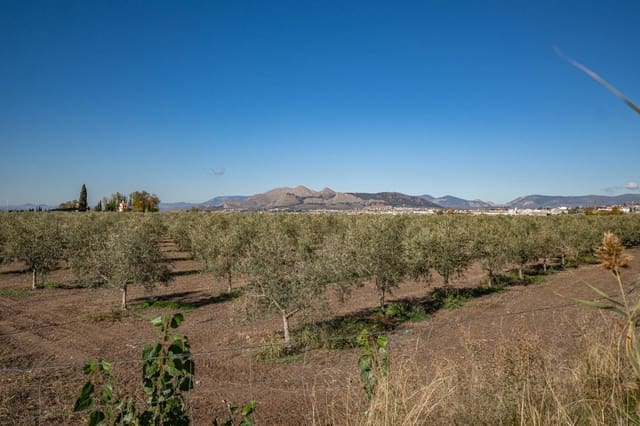 3 soveværelse Lejlighed til salg i Maracena med garage - € 189.000 (Ref: 9446310)