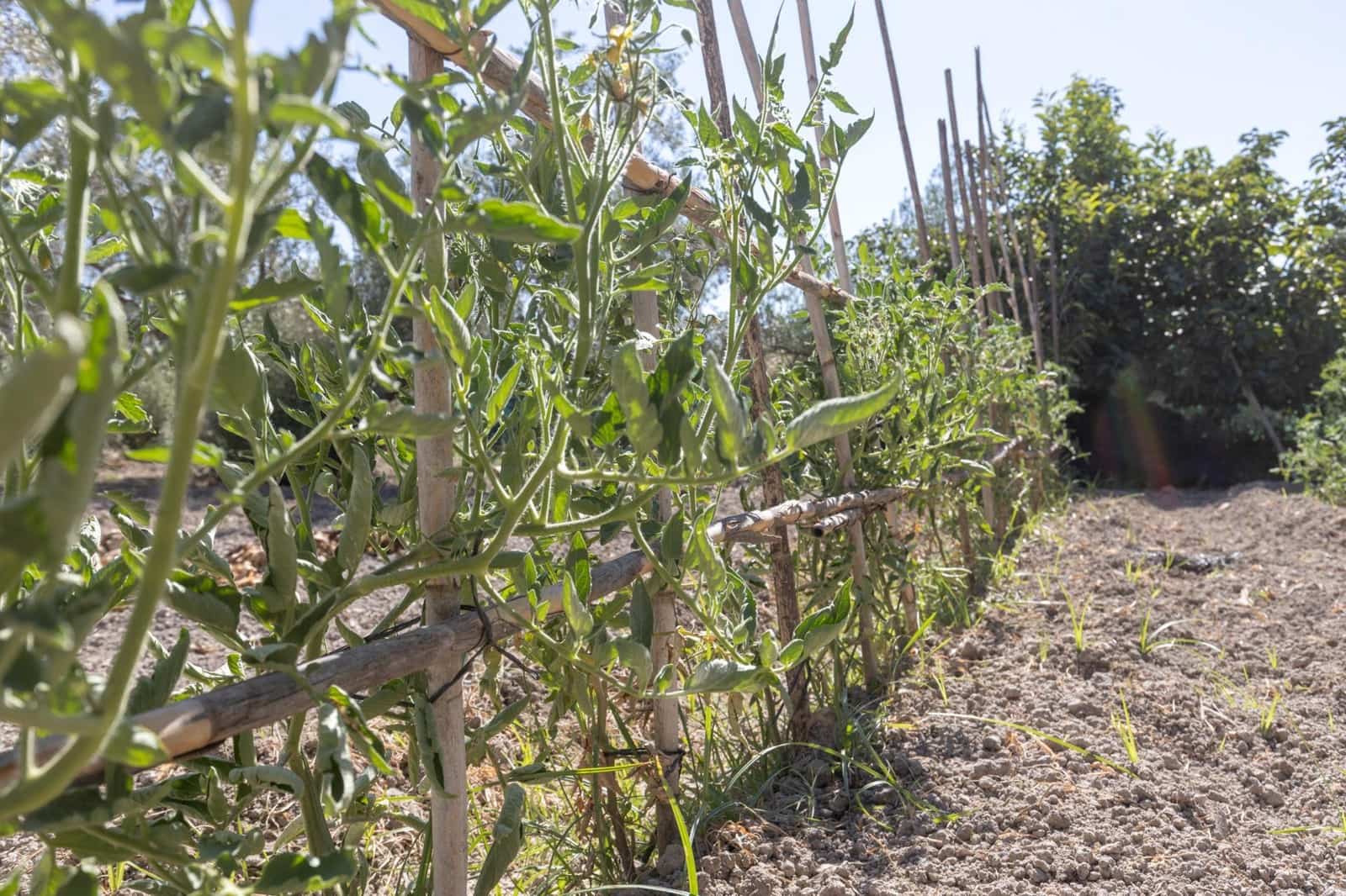 3 soverom Finca/Herregård til salgs i Santa Fe med garasje - € 199 900 (Ref: 9449149)