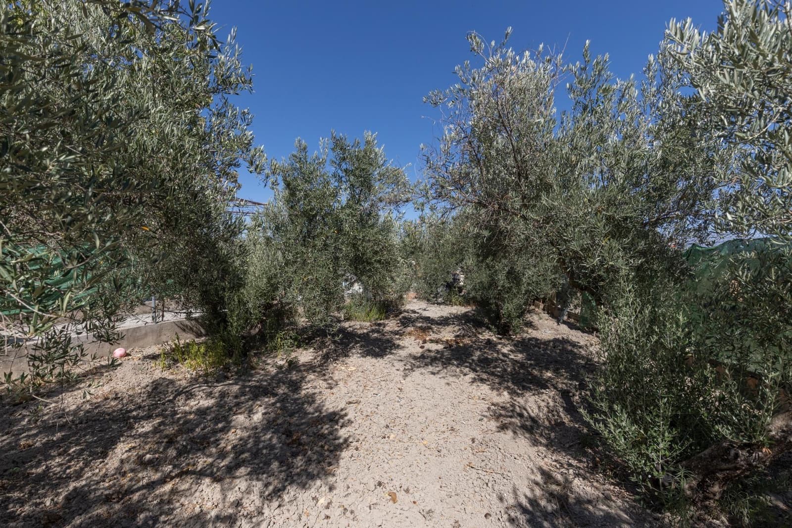 3 soverom Finca/Herregård til salgs i Santa Fe med garasje - € 199 900 (Ref: 9449149)