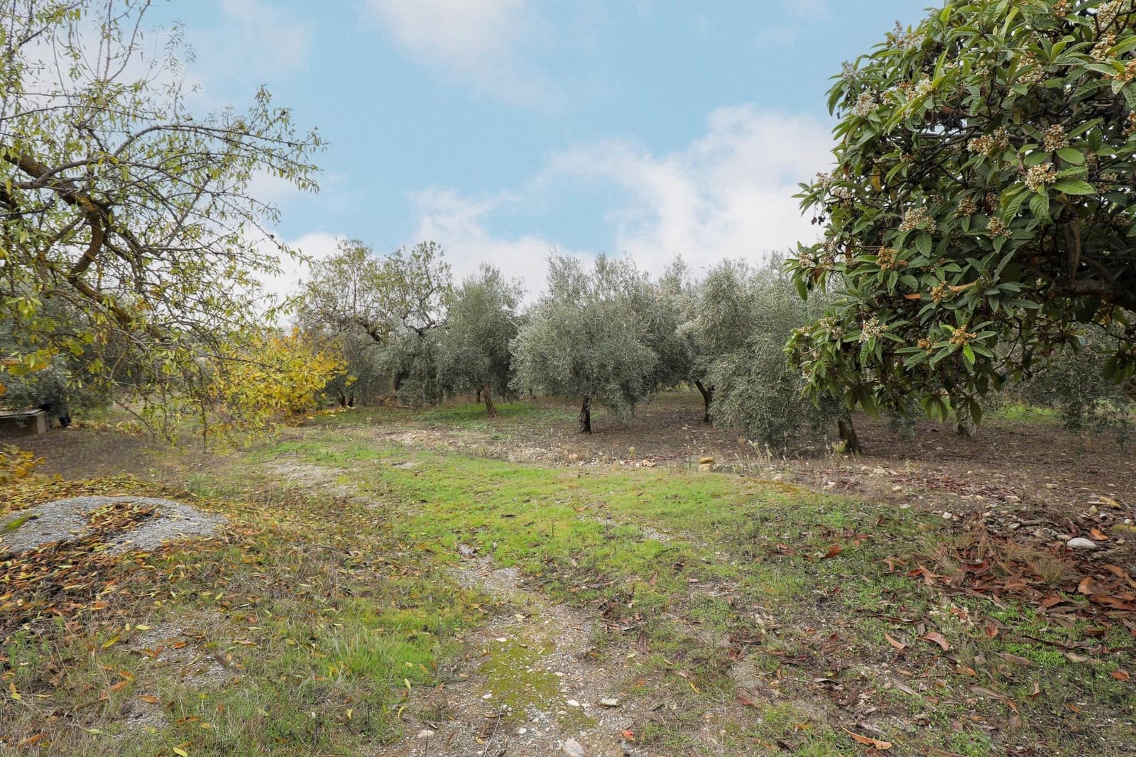 Finca/Herregård til salgs i Gojar med garasje - € 208 000 (Ref: 9450624)