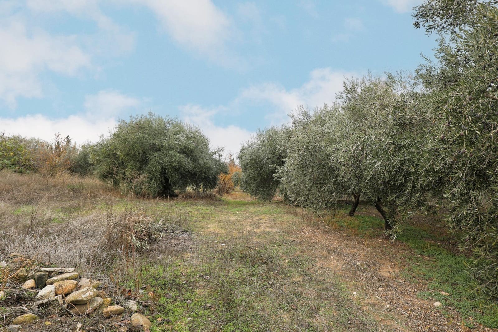 Finca/Herregård til salgs i Gojar med garasje - € 208 000 (Ref: 9450624)