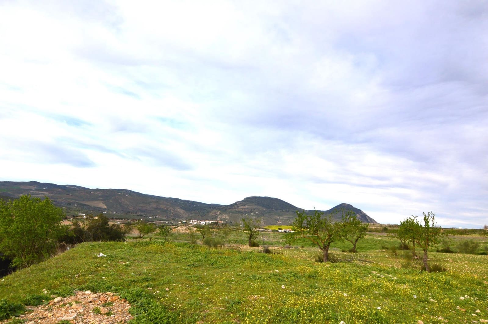 Business for sale in Loja - € 95,000 (Ref: 9468466)