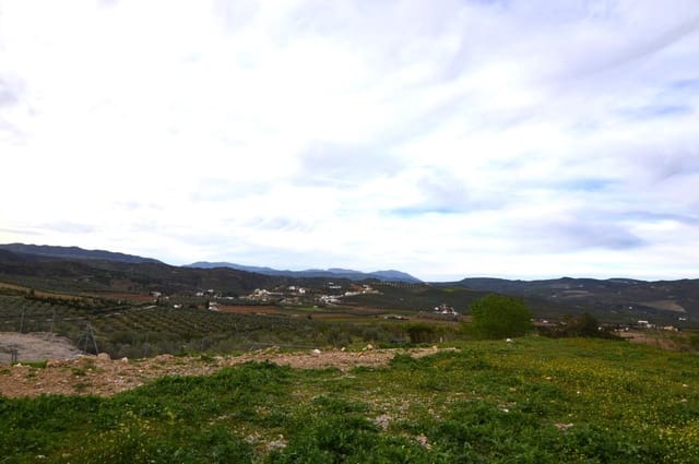 Företag till salu i Loja - 95 000 € (Ref: 9468466)