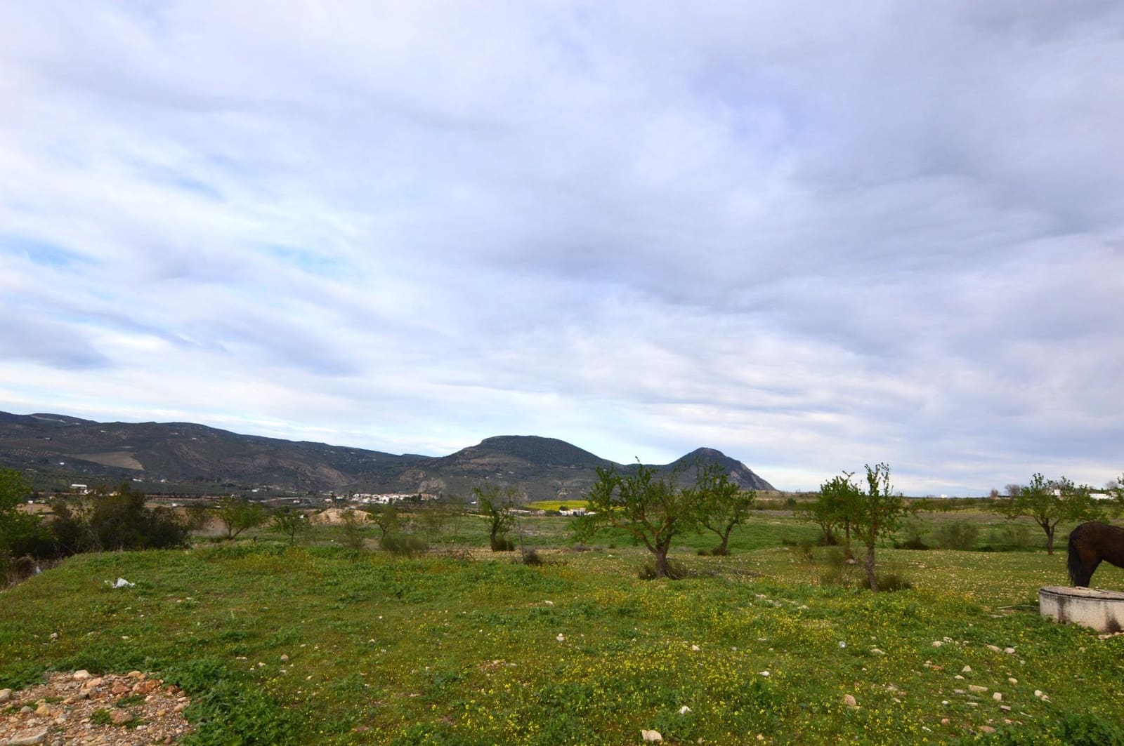 Business for sale in Loja - € 95,000 (Ref: 9468466)