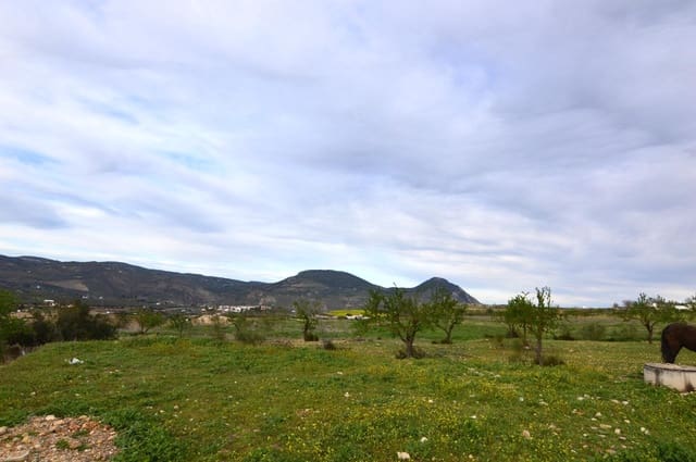 Företag till salu i Loja - 95 000 € (Ref: 9468466)