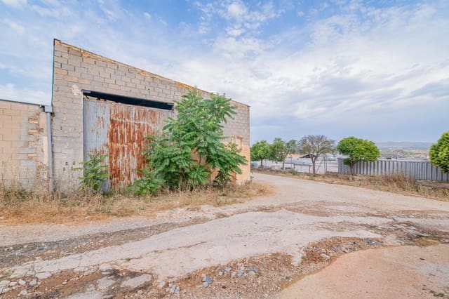 Företag till salu i Loja - 95 000 € (Ref: 9468466)